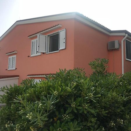 Apartment Adriana Povljana Dış mekan fotoğraf